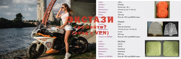 прущие грибы Абинск