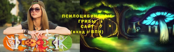 прущие грибы Абинск