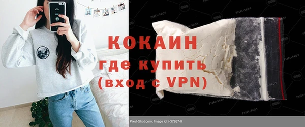 прущие грибы Абинск