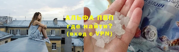 прущие грибы Абинск