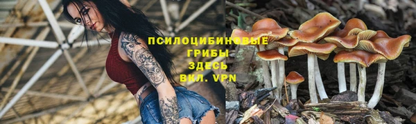 дурь Абдулино